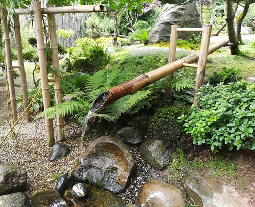 ogród w japońskim stylu